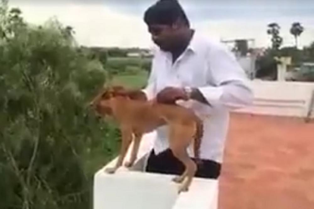 Čoveče, da li si bre normalan? Bacio psa sa zgrade, uz osmeh na licu! (UZNEMIRUJUĆI VIDEO)