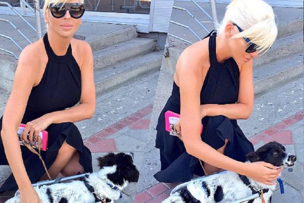 Pokazala humanu stranu: JK pozvala fanove da pomognu povređenim životinjama! (FOTO)