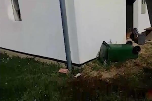 Stravično jutro u NS: Psi zaklali čoveka, borio se sa njima do smrti! (VIDEO)