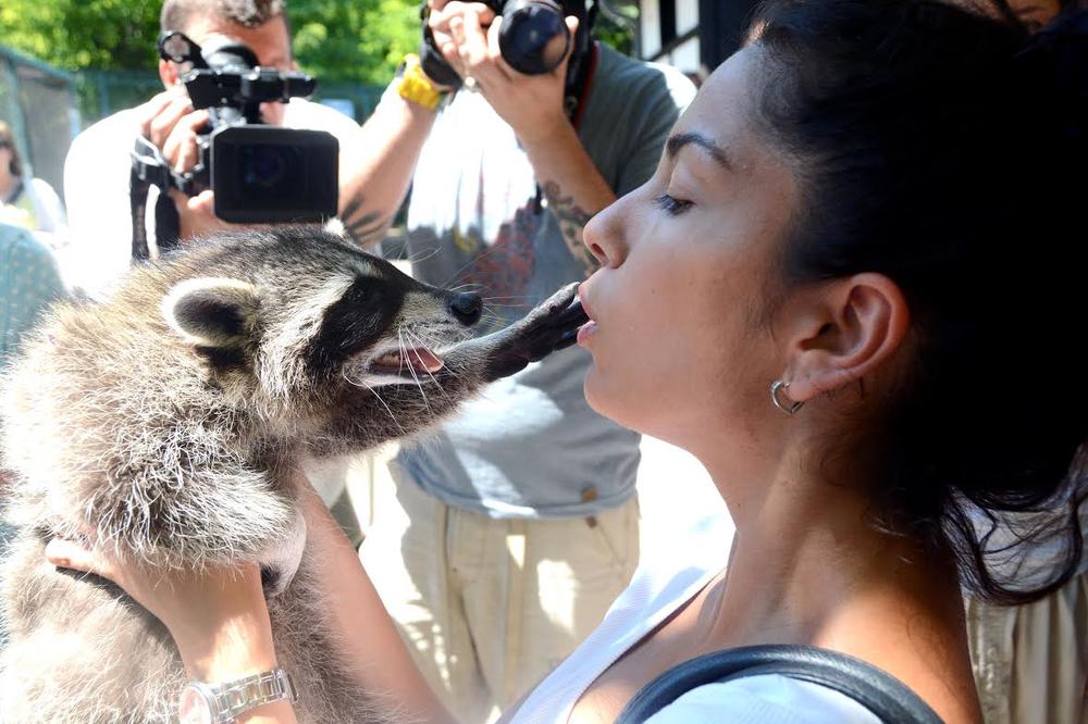 Proslavili smo 80. rođendan Zoo vrta i mazili se sa njihovim najslađim stanarom! (FOTO)