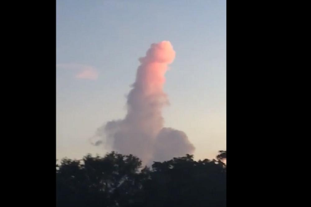 Da li vidite isto što i milioni ljudi? Onda definitivno imate prljavu maštu (FOTO) (VIDEO)