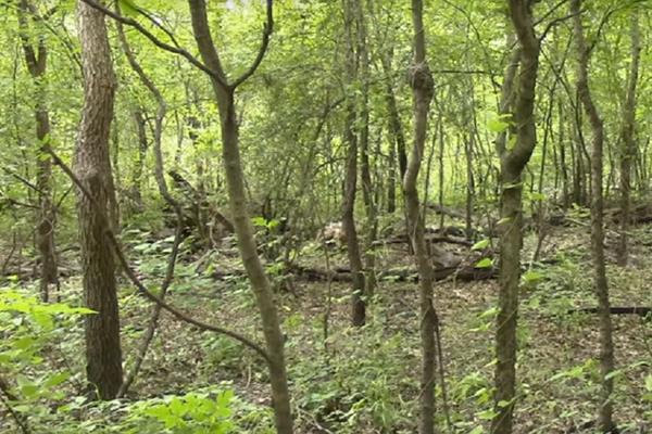Njihov zadatak je da budu nevidljivi: Pronađite marince na ovoj fotografiji! (FOTO) (VIDEO)