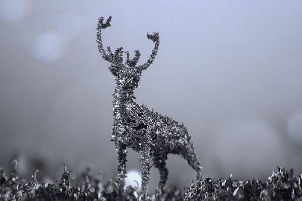 Opiljci, bejbi: Najdivnija snežna bajka napravljena od onoga što biste inače bacili! (FOTO) (VIDEO)