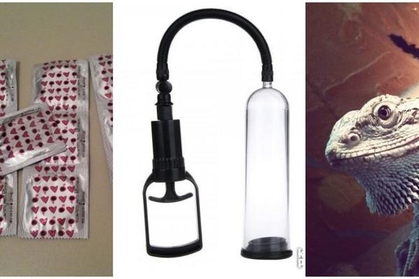 Koze, kondomi, iguane, pumpe za penis: 10 najluđih oglasa koje Srbi valjaju na netu! (FOTO)