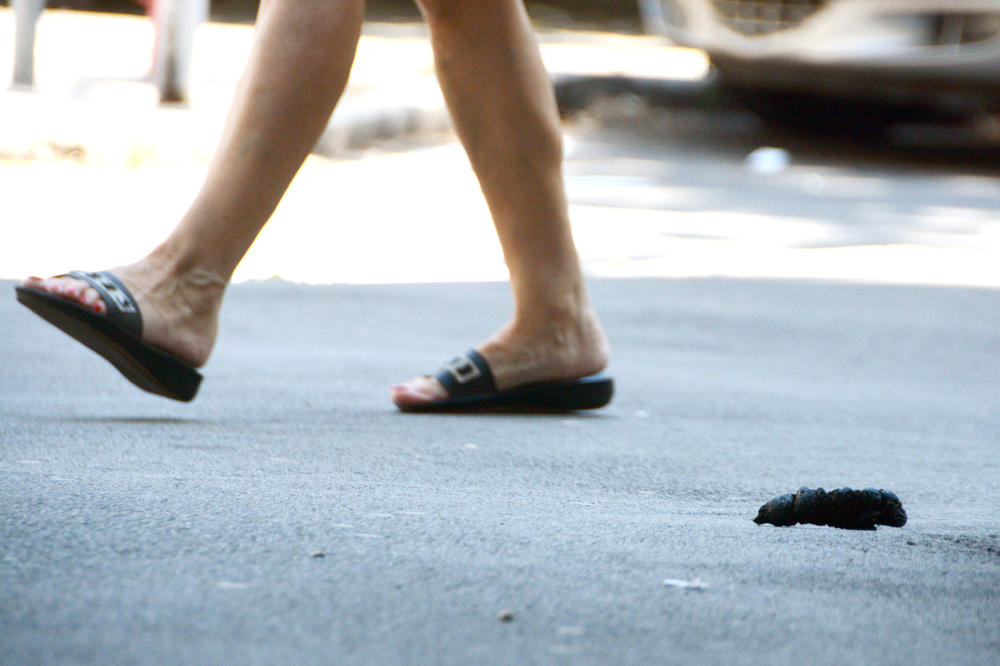 KULTURA BRATE, SESTRO! Kako su mladi Dorćolci HIT PORUKOM objasnili komšijama šta je red! (FOTO)