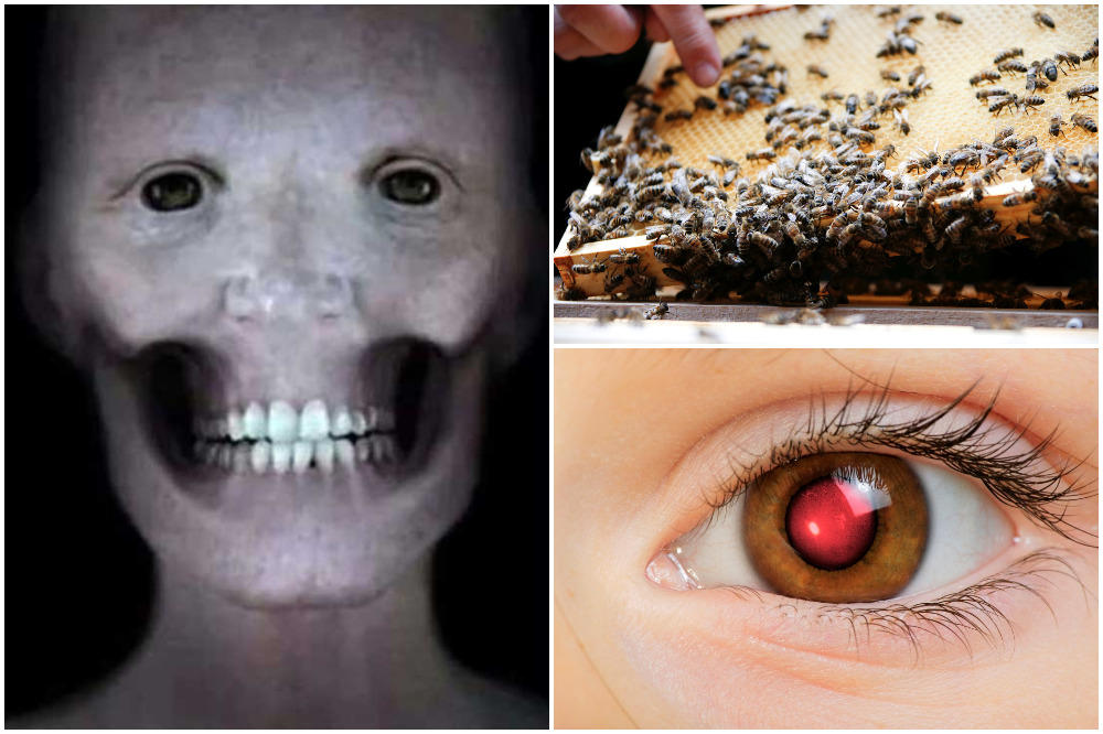 Kako bismo izgledali bez mišića? 6 suludih činjenica od kojih će vam se kičma naježiti! (FOTO)