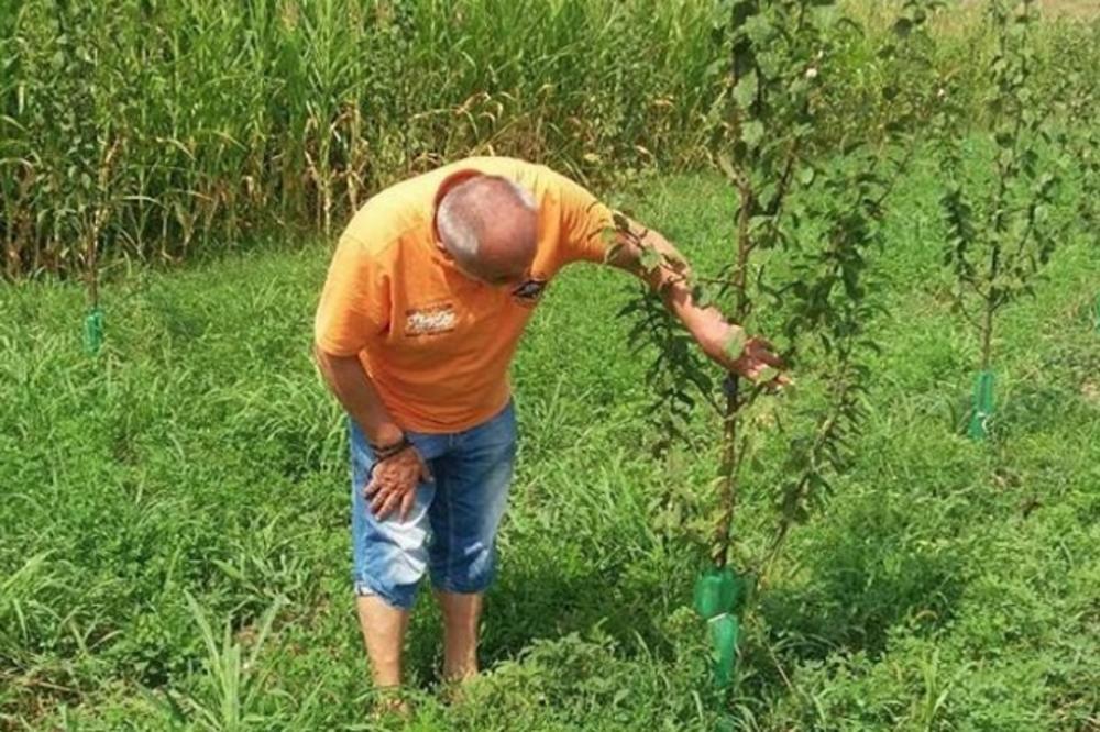 Iz Skupštine u voćnjak: Poslanik iz njive pravo na Instagram! (FOTO)