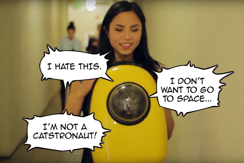 Sad može sa njom i na Mesec: Maca je na sigurnom, a pritom svi mogu da je vide (VIDEO)