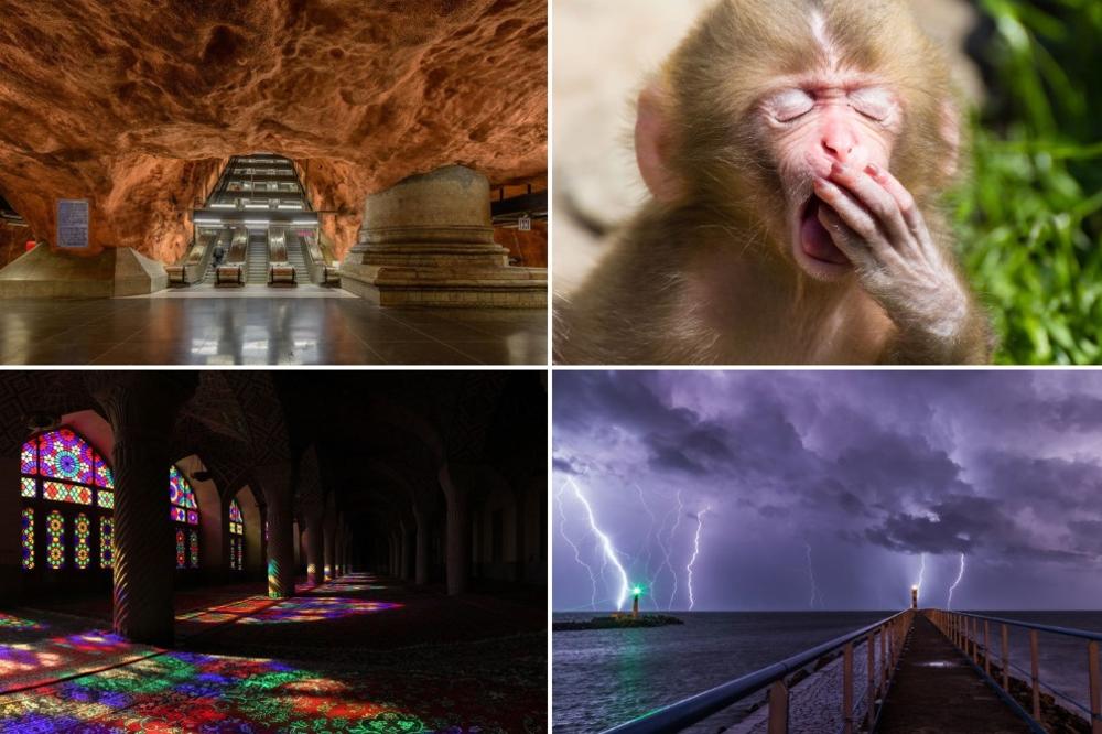 Vikimedija je izabrala: Ovo je 12 najboljih fotki za 2016! (FOTO)