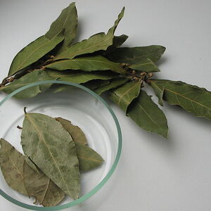 Lovor u šećeru zvuči čudno dok ne shvatite zašto to Ruskinje rade: Kad vidite efekat, probaćete odmah