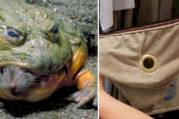 Ludilo mozga: 13 fotki koje će zbuniti sva vaša čula, a jedna je baš jeziva! (FOTO)