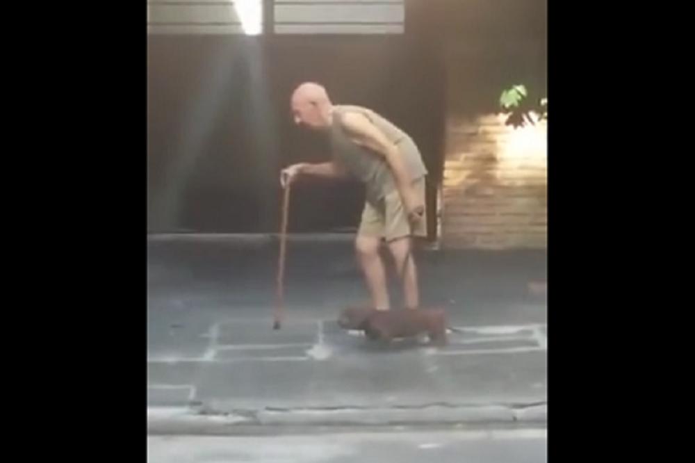 Srce će vam prepući: Ovo je najdivnija šetnja na svetu! (VIDEO)