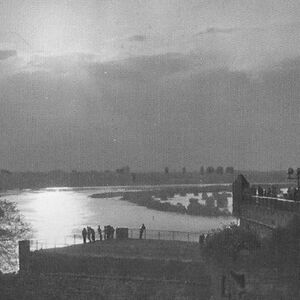 VARVARSKO IŽIVLJAVANJE NAD SUROVO SIROMAŠNIMA U BEOGRADU! Bogati gledali ljude KAKO SE TAKMIČE I UMIRU OD ALKOHOLA!