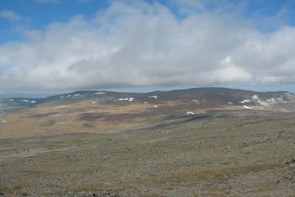OBEĆANA ZEMLJA U KOJU HRLE SRBI: Zašto onda masovno idu u penziju pre 40?