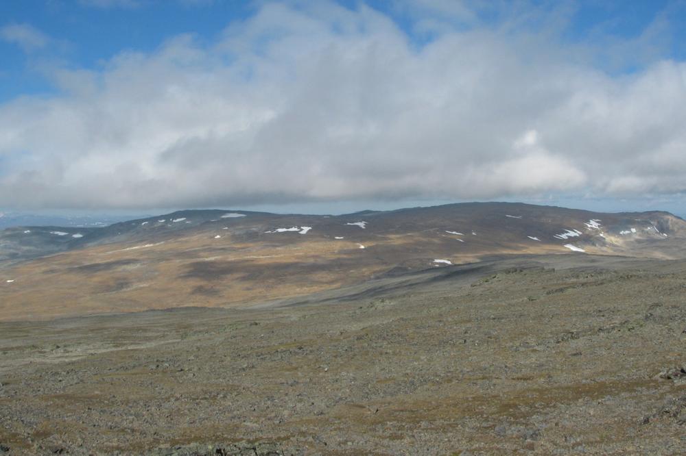 OBEĆANA ZEMLJA U KOJU HRLE SRBI: Zašto onda masovno idu u penziju pre 40?