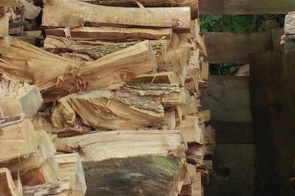 Gde je mačka na slici? Ma, nema šanse da je pronađete! (FOTO)