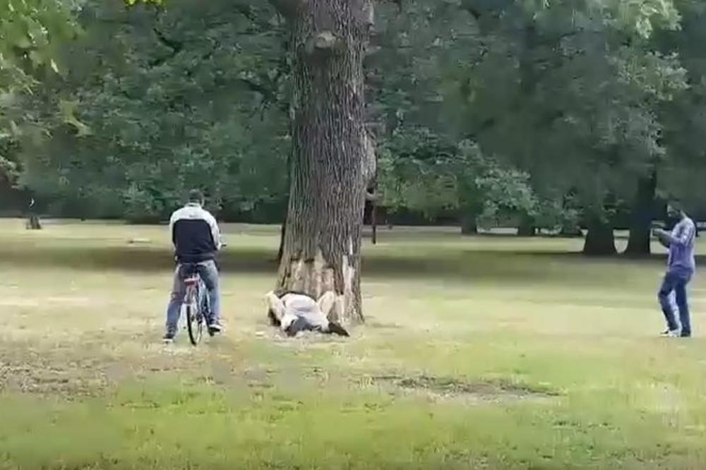 Imali žestok seks usred bela dana, ljudi ih snimali i pričali sa njima! (VIDEO)