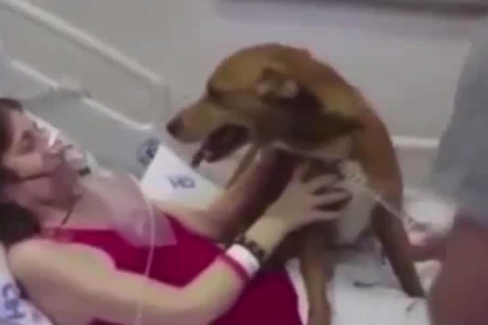 Pas je došao u bolnicu da se zauvek oprosti od vlasnice, ono što se desilo rasplakalo je svet! (VIDEO)