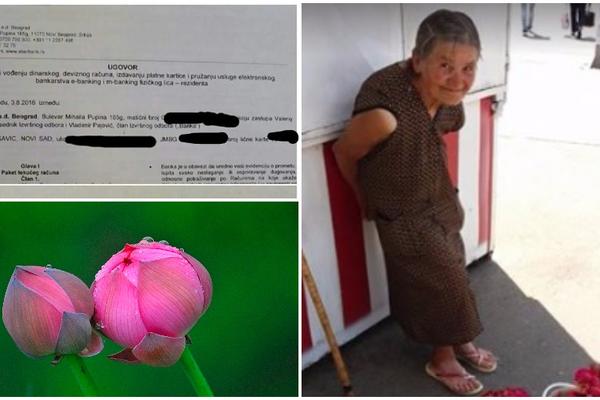 Novosađanka je za baku koja prodaje cveće učinila nešto što će oduševiti sve! (FOTO)