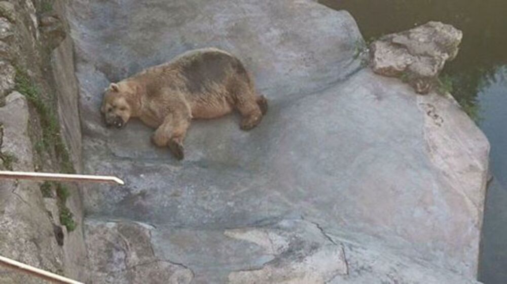 foto: Printscreen/Youtube