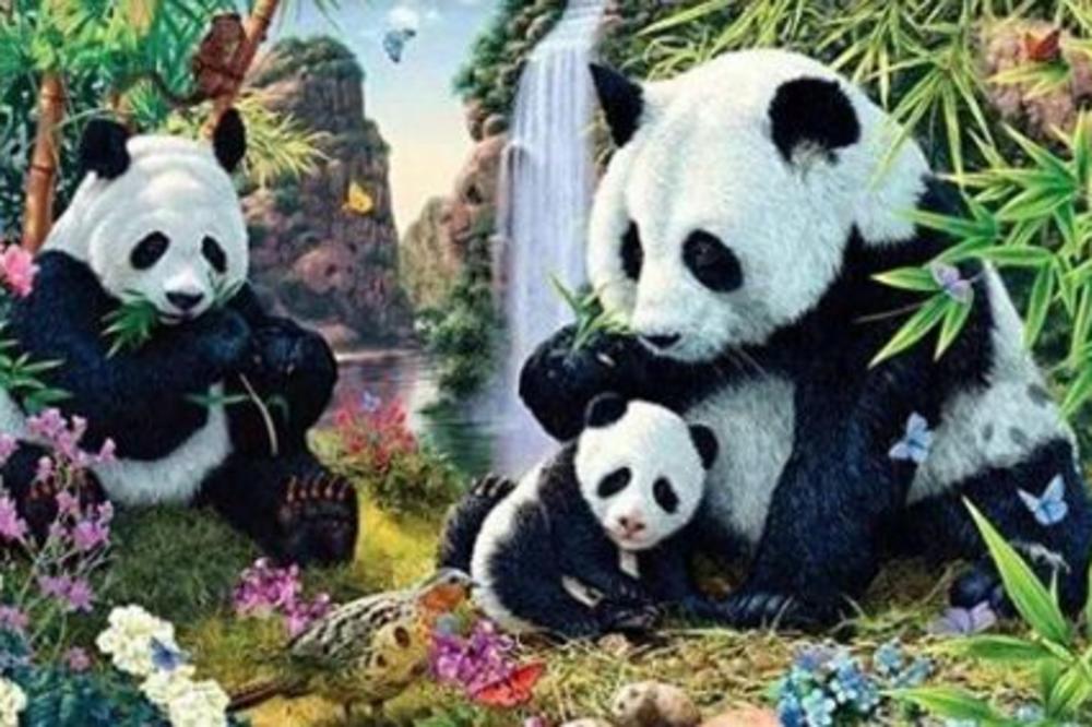 Samo 2% ljudi može da pronađe 15 pandi na slici: Da li ste među njima? (FOTO)