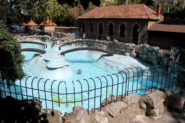 TVIGI DANAS SLAVI 50. ROĐENDAN! Ceo ZOOLOŠKI VRT je na nogama! Evo o kojoj životinji se radi i šta je DOBILA