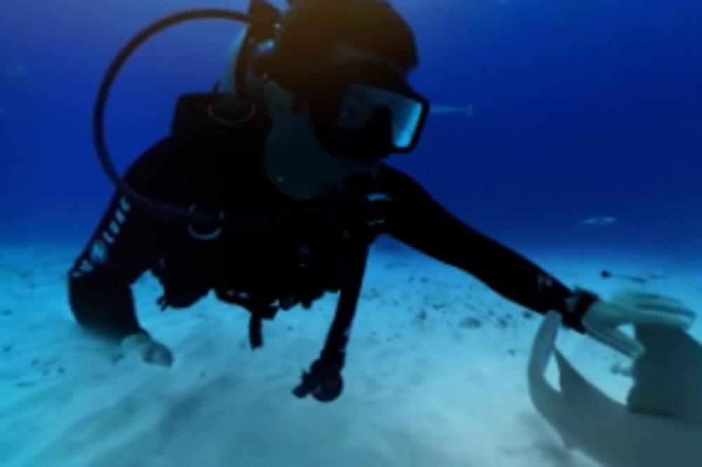 Zaronite u dubinu okena i - zaplivajte među ajkulama čekićarama! (VIDEO)