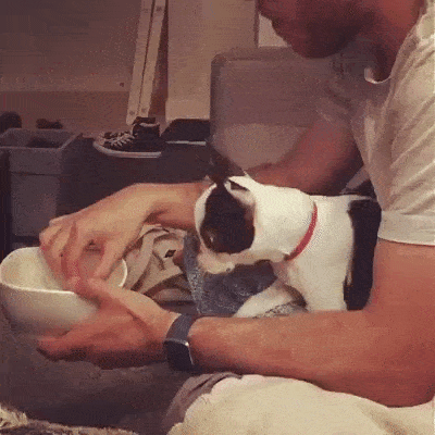 Gazda, daj malo! Koliko je potrebno da ova cicija primeti gladna usta? (VIDEO)