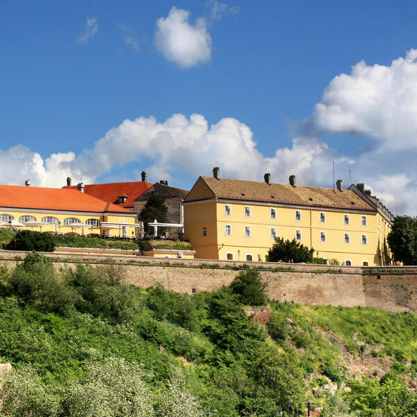 Iz Evrope pozvali Vladu Srbije da pomogne muzičkoj i festivalskoj industriji