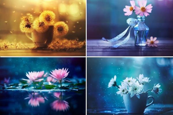 Ostaćete bez daha: 13 najlepših fotki cveća koje su obišle svet (FOTO)