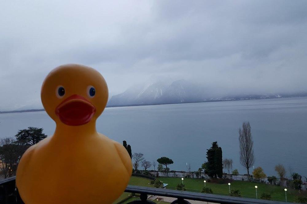 SAD MU PRETE SMRĆU: Nedim Sejdinović čestitao Uskrs na svom FB profilu, pa zasut strašnim psovkama, a sve zbog patkice! (FOTO)