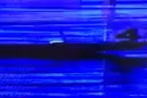 Nova medalja za Hrvate: Od trećeg zlata ih delio milimetar - bukvalno! (VIDEO)