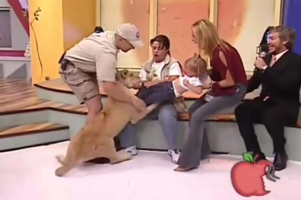 Kakav horor: Lav napao dete u sred emisije! Voditelja ćete zamrzeti kada vidite šta je uradio! (VIDEO)
