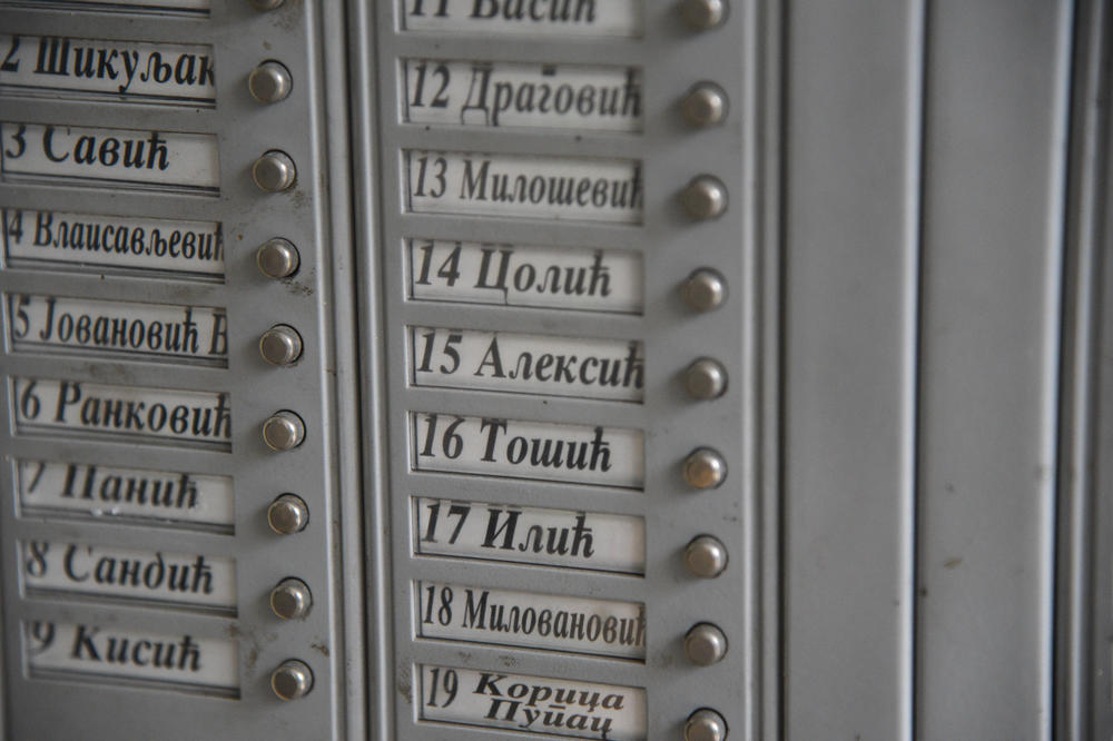 STANARI ZAHTEVAJU ČIŠĆENJE I IZBACIVANJE MRTVIH MAČAKA! Obaveštenje u jednoj BG zgradi je komično, ali i TRAGIČNO! (FOTO)