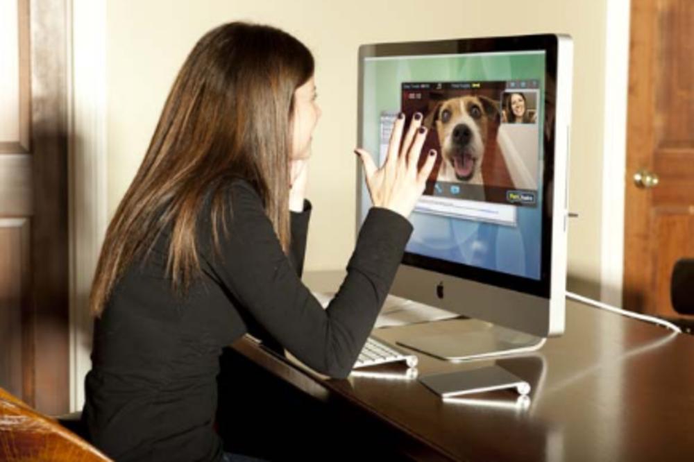 Kuco, samo da ti javim da se brzo vraćam! Sad možete da četujete sa ljubimcima preko Skajpa! (VIDEO)