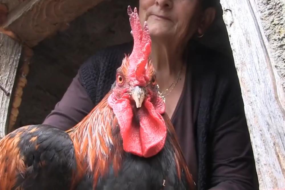 Imao sam strašnog petla, bio je pravi...travestit!? (VIDEO)