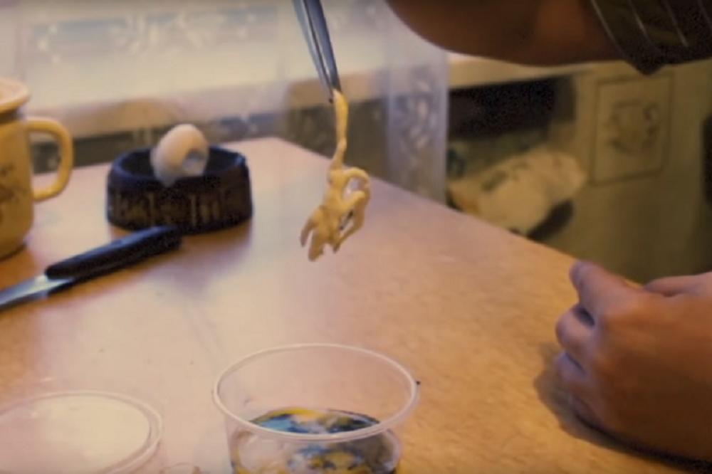 Ubrizgao je spermu u jaje: Ono što je izašlo zbunilo je i naučnike! (VIDEO)