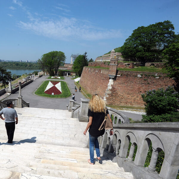 "NE PRILAZITE IM, MOGU DA UJEDU" Šok prizor na Kalemegdanu: Ljudi ne veruju šta vide, isplivao i SNIMAK (VIDEO)