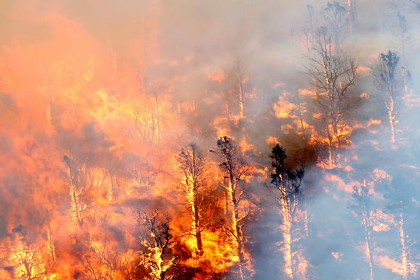 LOVĆEN I DALJE GORI: Vojska pomaže vatrogascima, apeluju na dobrovoljce da pomognu!