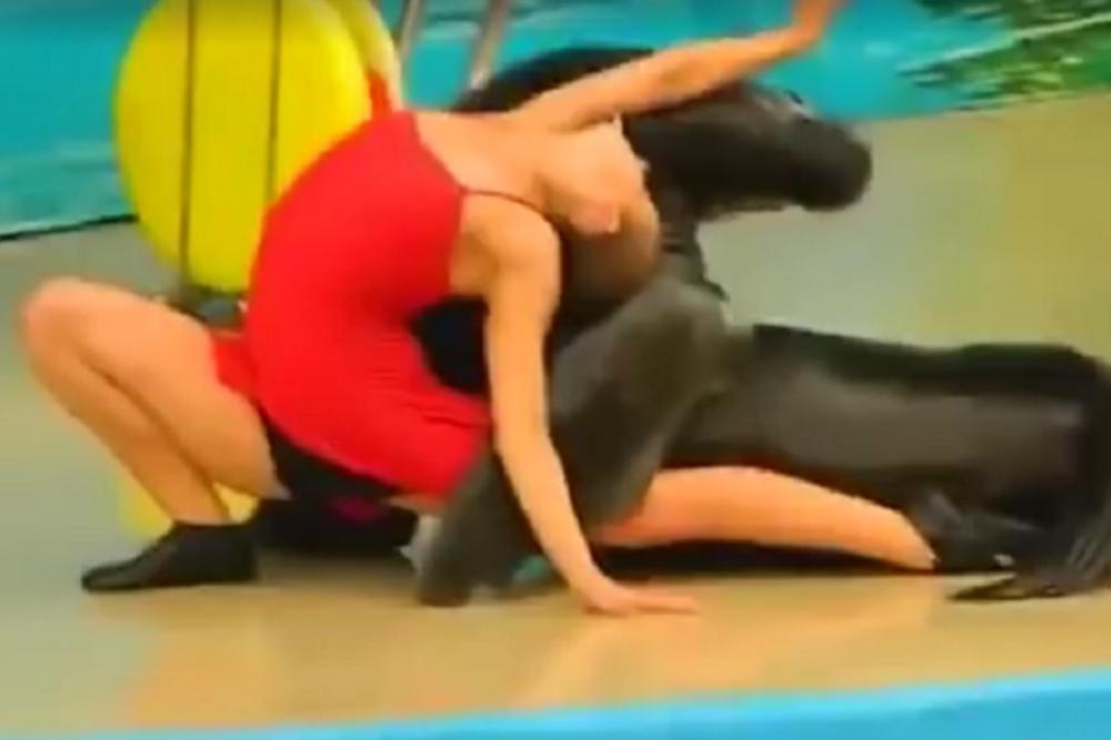 Zaboravite malo na kišu, gledajte foku kako pleše! (VIDEO)