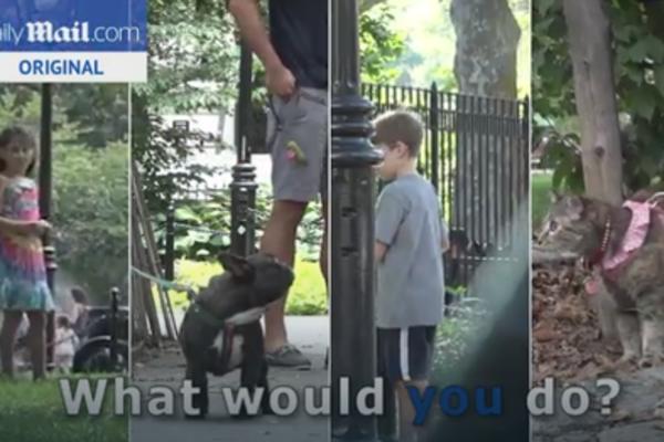 Trik pitanje: Dečak, devojčica, pas i mačka su napušteni u parku... Koga biste prvo spasili? (VIDEO)