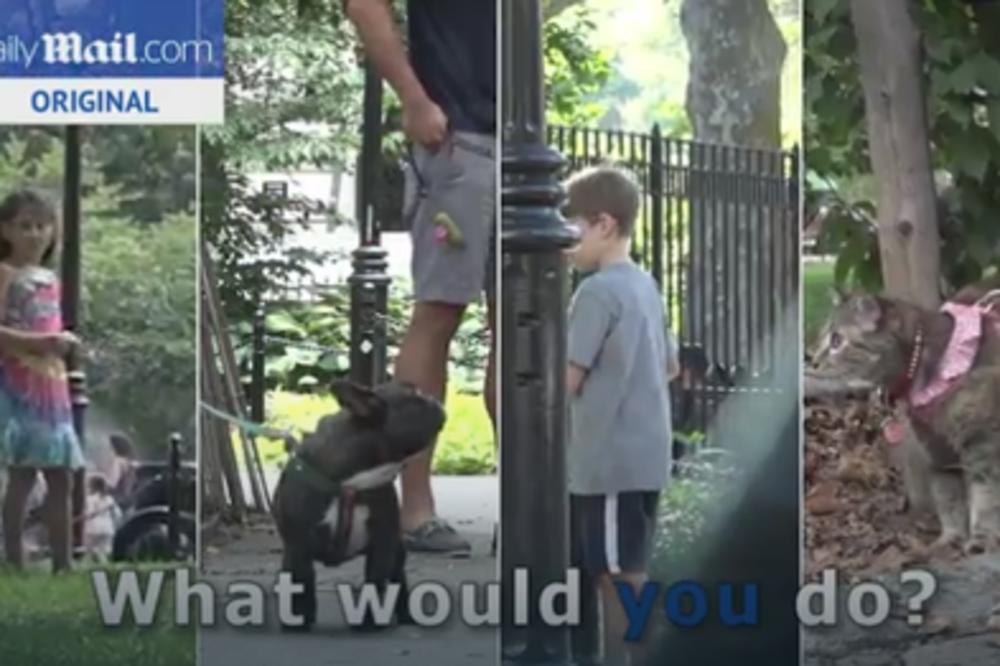 Trik pitanje: Dečak, devojčica, pas i mačka su napušteni u parku... Koga biste prvo spasili? (VIDEO)