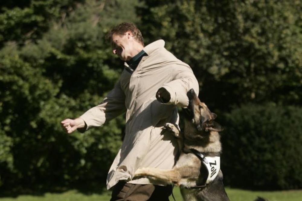 U Nišu za jedan dan psi izujedali pet osoba!