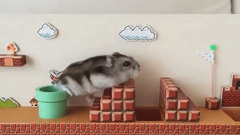 Super Hrčkario: Mališa prelazi legendarnu igricu ko od šale! (VIDEO)