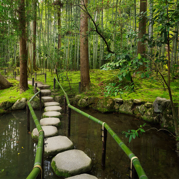 JAPANSKI TEST LIČNOSTI OTKRIVA ŠTA KRIJE VAŠA PODSVEST: Odgovorite ISKRENO na ova pitanja i SAZNAJTE