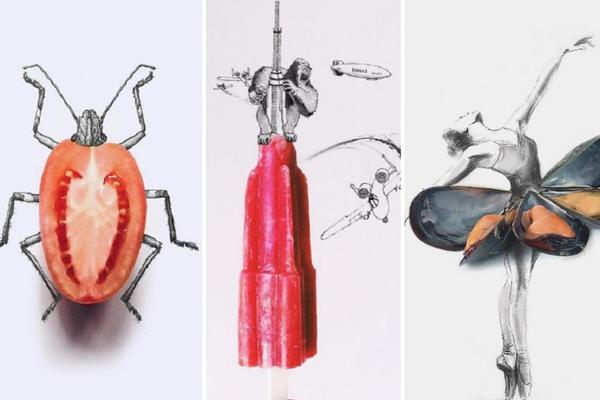14 genijalnih ilustracija koje ćete poželeti da pojedete! (FOTO)