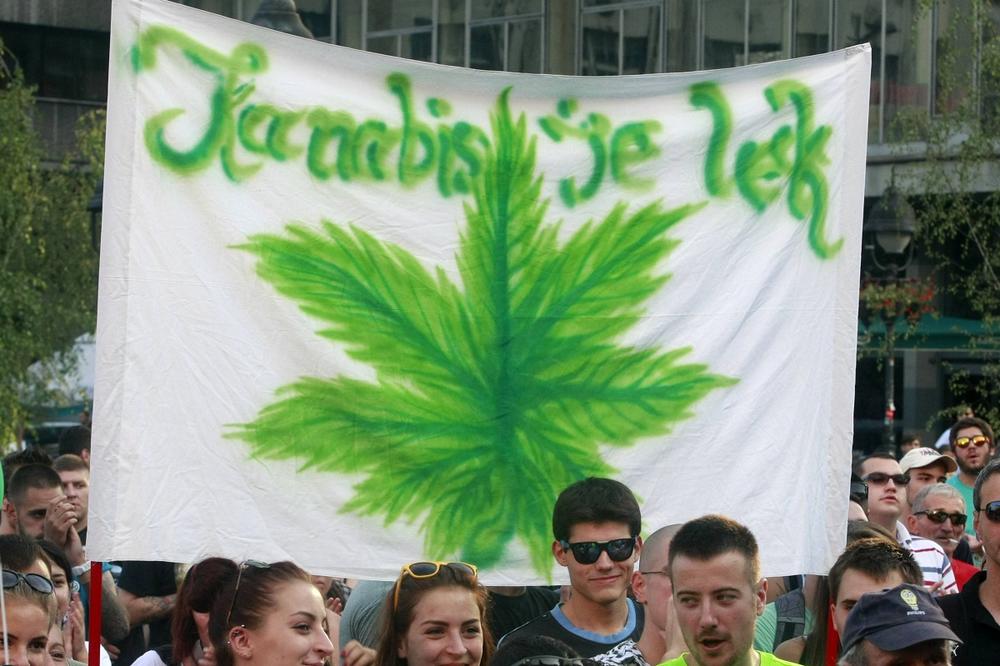 Makedonci slobodno prodaju ulja od kanabisa!