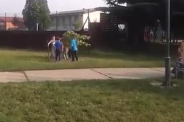 Deca se iživljavaju nad drvetom, a šta za to vreme rade majke? Bleje 5 metara odatle i ne mrdaju! (VIDEO)