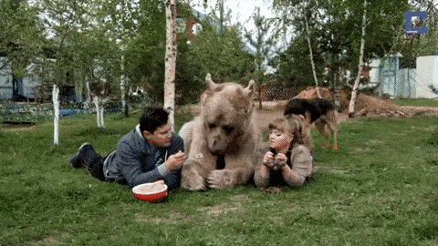 Menjam medvede, jaguara, majmuna i lame za stan! Zbog suludog oglasa dolijao vlasnik cirkusa iz Srbobrana!