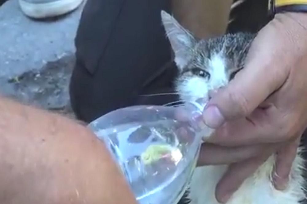 Šest dana u ruševinama: Ona je mali heroj Amatričea! (FOTO) (VIDEO)